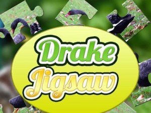 Drake Jigsaw Puzzle Game Online