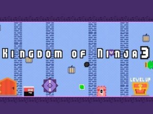 Kingdom of Ninja 3 Adventure Game