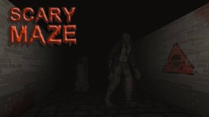 Scary Maze 3D Game