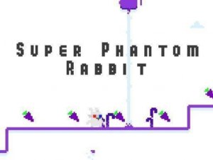 Super Phantom Rabbit Adventure Game