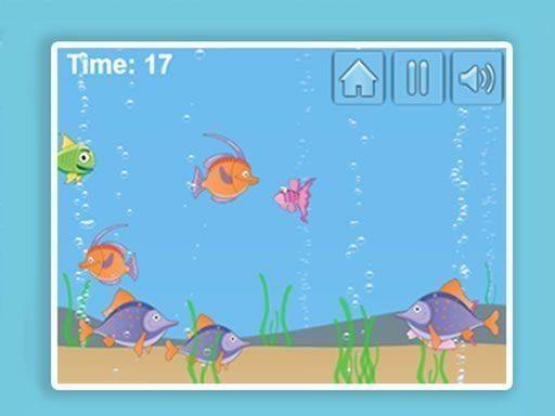 Aqua Challenge Online Survival Game